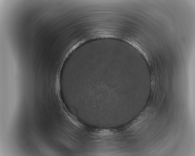 X0000115290390200911090956
