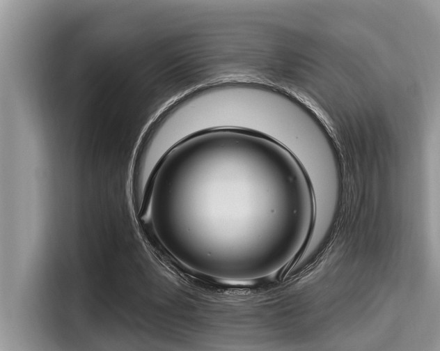X0000115290391200911090956