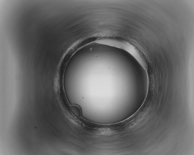 X0000115290392200911090956