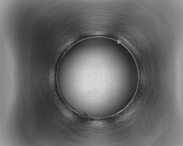 X0000115290394200911090956