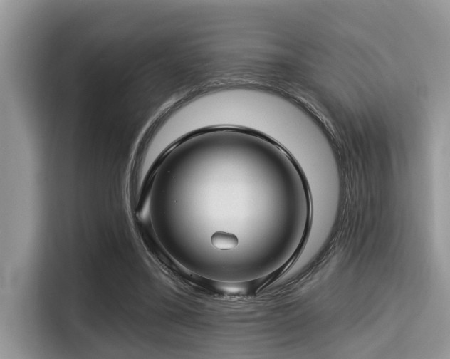 X0000115290395200911090956