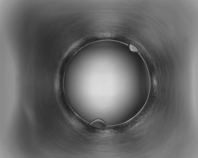 X0000115290396200911090956