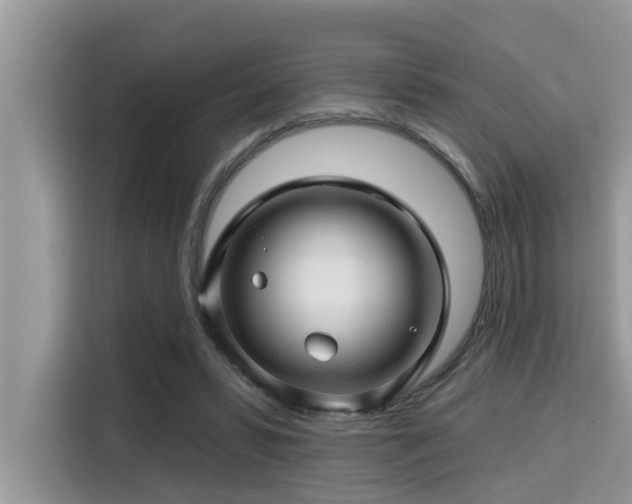 X0000115290399200911090956