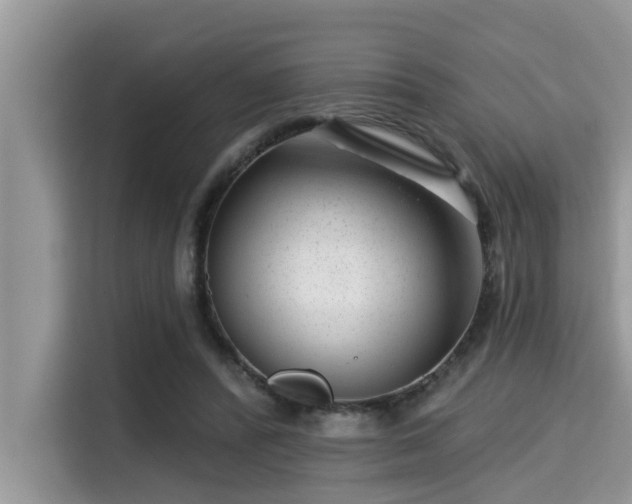 X0000115290400200911090956