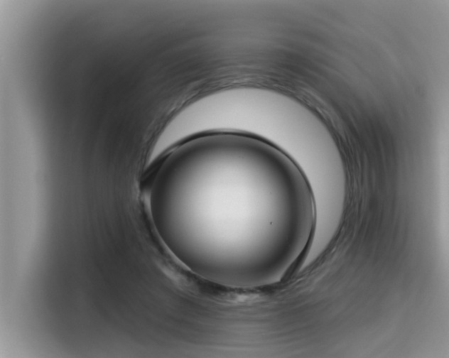 X0000115290401200911090956