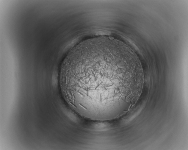 X0000115290402200911090956