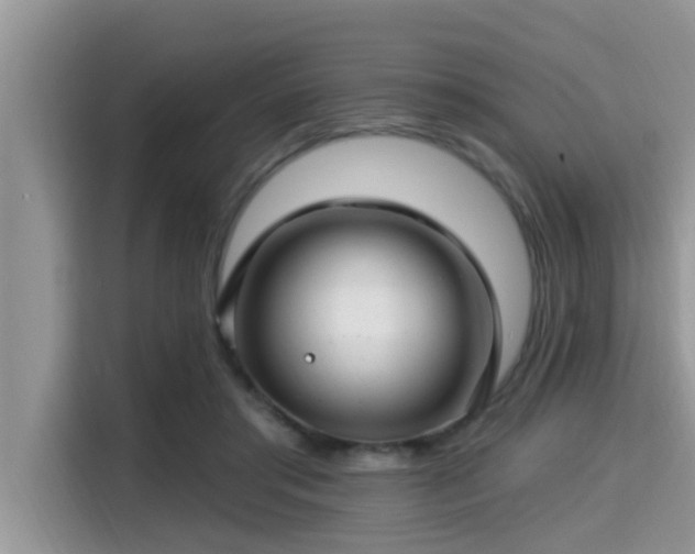 X0000115290405200911090956