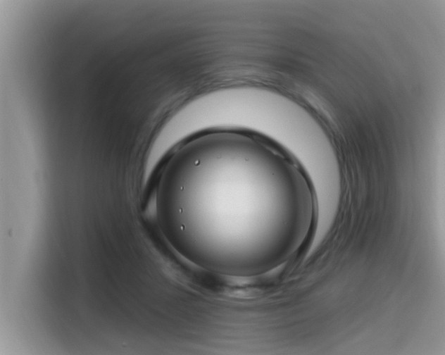 X0000115290407200911090956