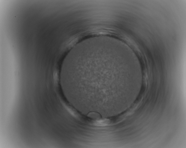 X0000115290410200911090956