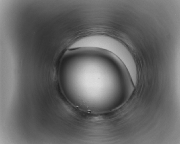X0000115290411200911090956