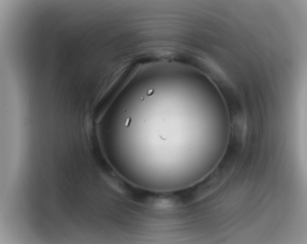 X0000115290412200911090956