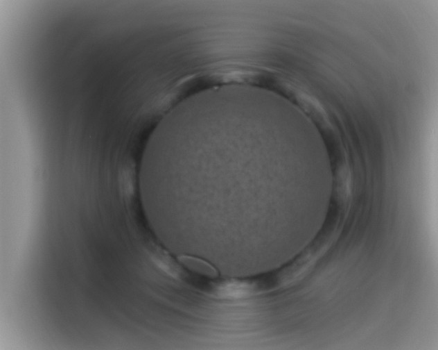X0000115290413200911090956