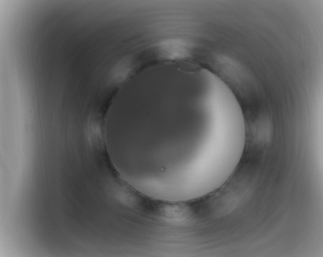 X0000115290415200911090956