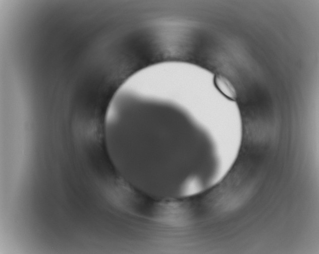 X0000115290419200911090956