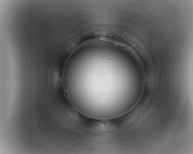 X0000115290420200911090956