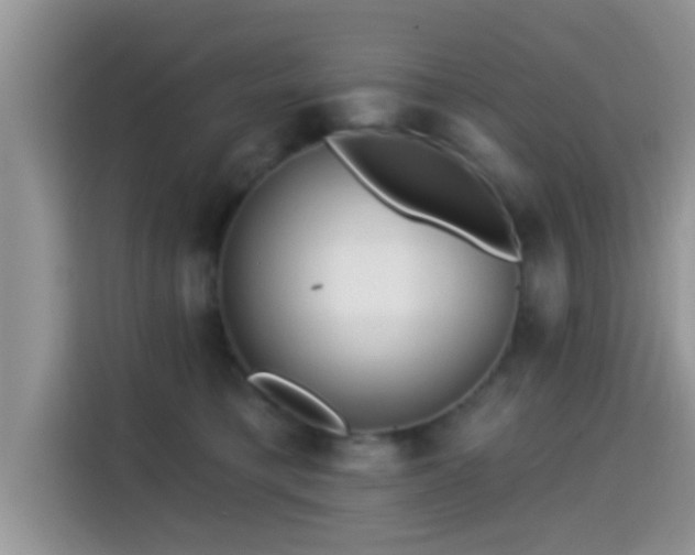 X0000115290421200911090956