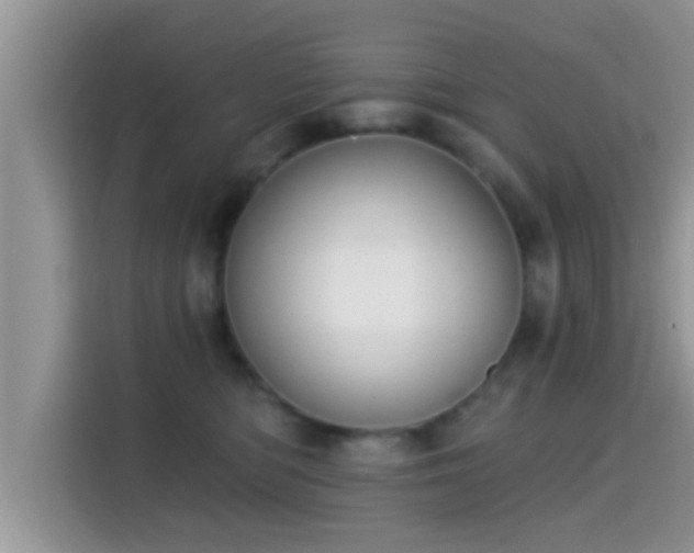 X0000115290422200911090956