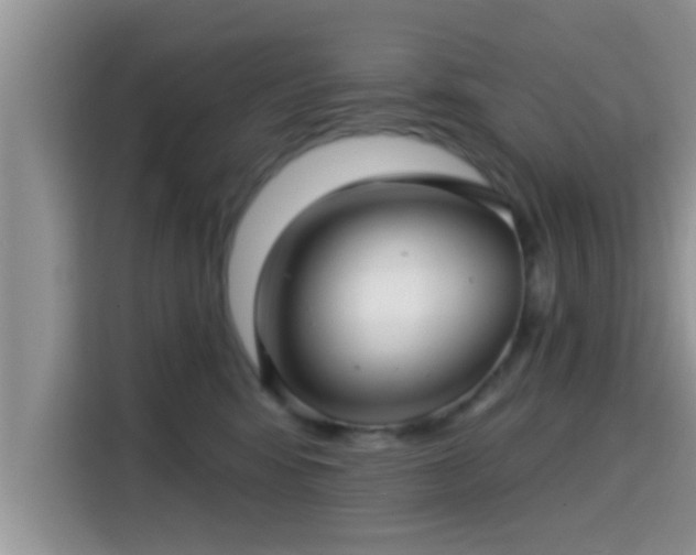 X0000115290424200911090956