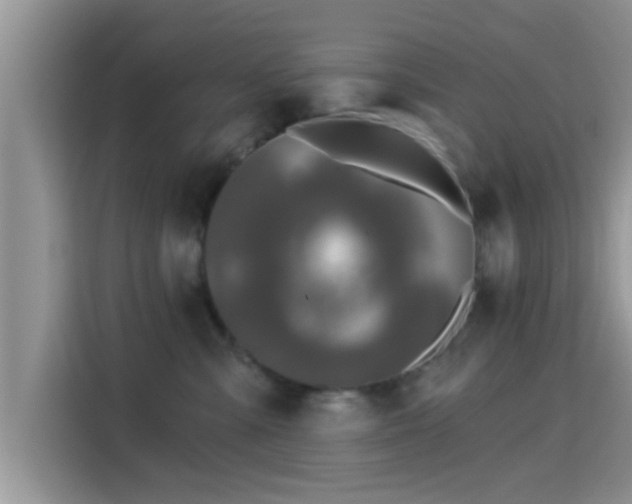 X0000115290427200911090956