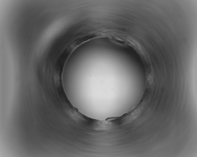 X0000115290429200911090956