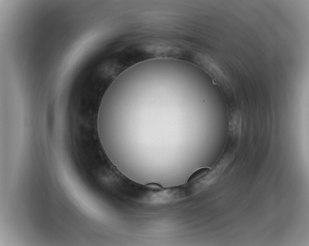 X0000115290430200911090956