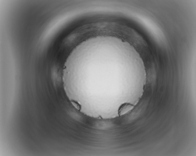 X0000115290431200911090956