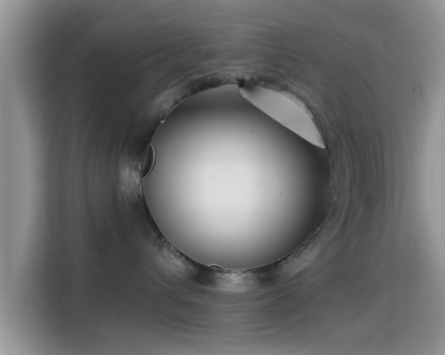 X0000115290432200911090956