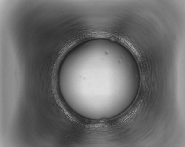 X0000115290433200911090955
