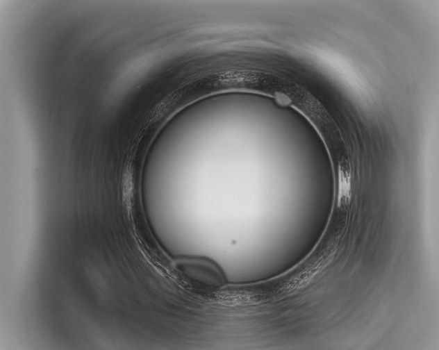 X0000115290435200911090955