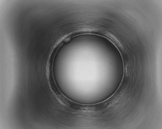 X0000115290436200911090955