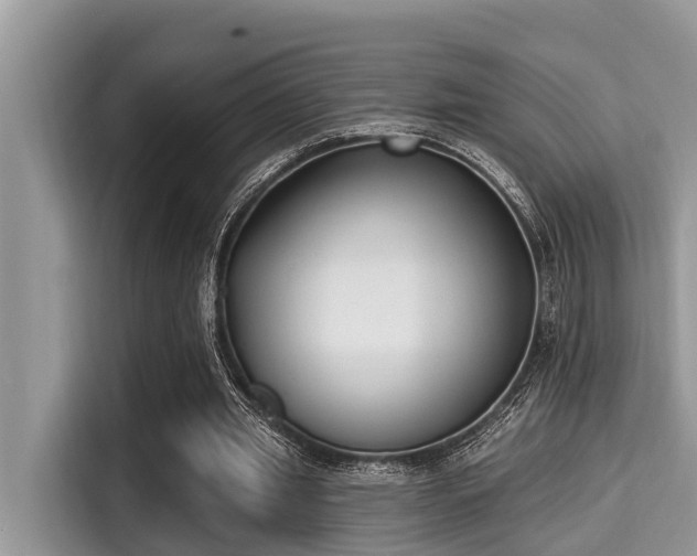 X0000115290437200911090955