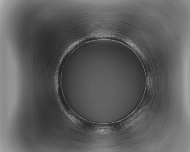 X0000115290438200911090955