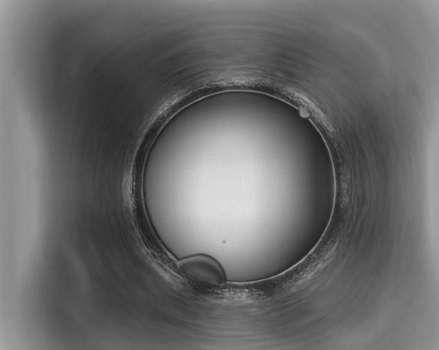 X0000115290439200911090955