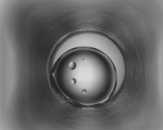X0000115290440200911090955