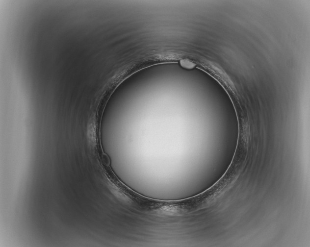 X0000115290441200911090955