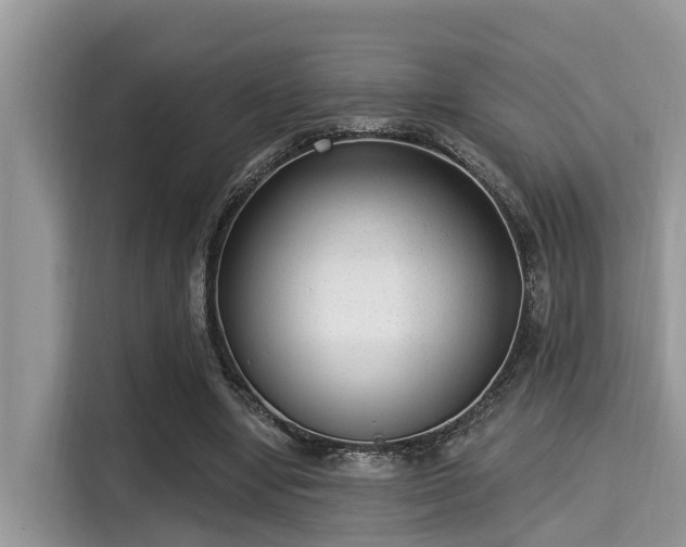 X0000115290442200911090955