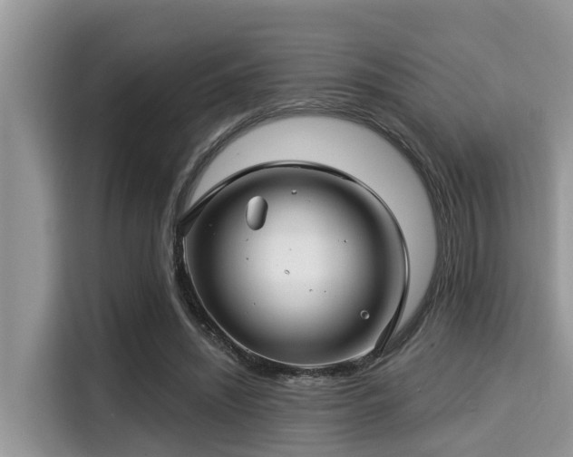 X0000115290444200911090955