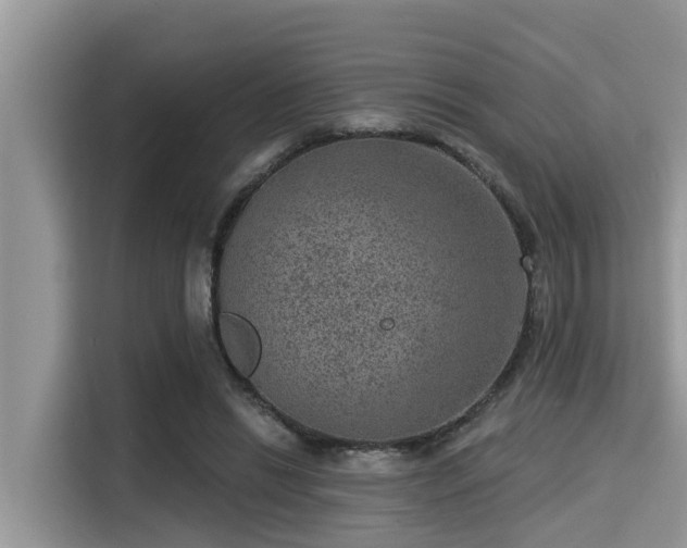 X0000115290446200911090955