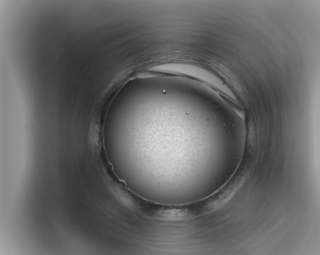X0000115290449200911090955