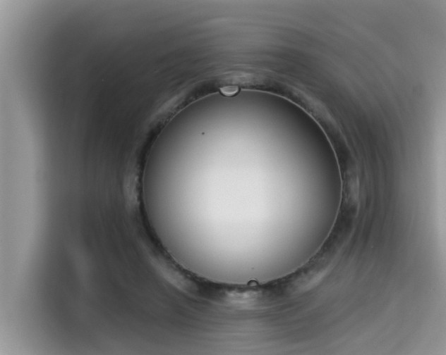 X0000115290450200911090955