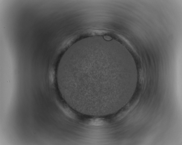 X0000115290451200911090955
