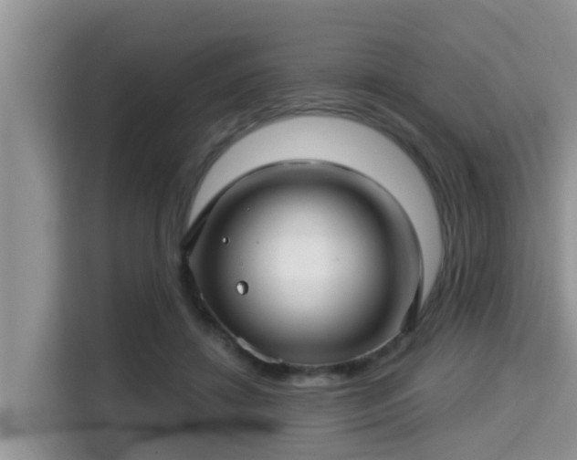 X0000115290452200911090955