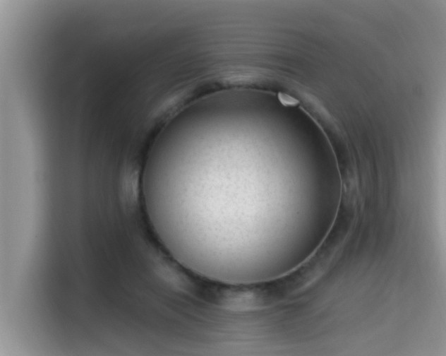 X0000115290454200911090955