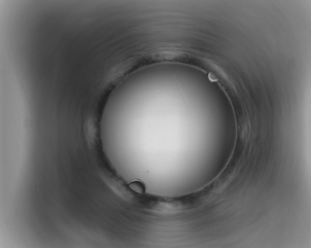 X0000115290455200911090955