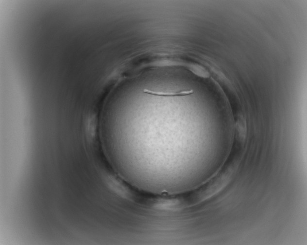X0000115290458200911090955