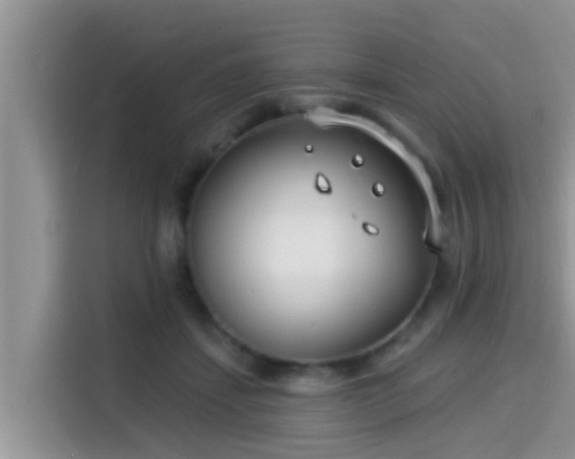 X0000115290459200911090955