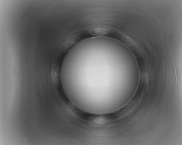 X0000115290460200911090955