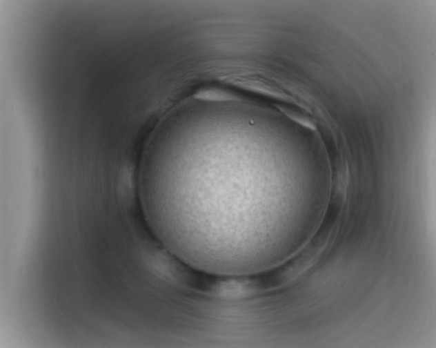 X0000115290461200911090955