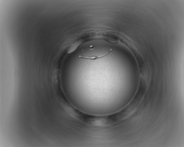 X0000115290462200911090955