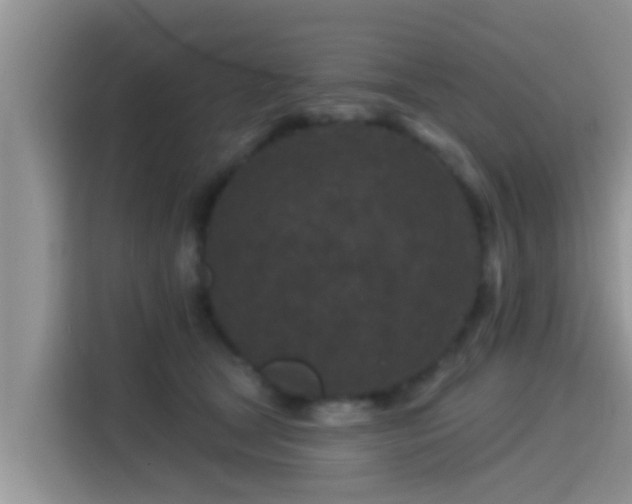 X0000115290465200911090955